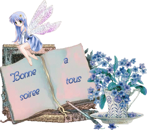 bonne soir&eacute;e